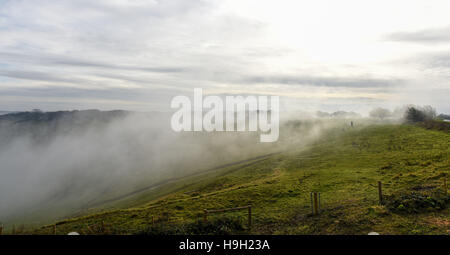 Brighton, Sussex, UK. 23 Nov, 2016. La brume et le brouillard cascades en bas des collines de démons digue le long de la South Downs au nord de Brighton ce matin, après le mauvais temps de ces derniers jours dans tout le Royaume-Uni Crédit : Simon Dack/Alamy Live News Banque D'Images