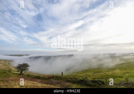 Brighton, Sussex, UK. 23 Nov, 2016. Un chien walker jouit de la brume et le brouillard cascadant des collines de démons digue le long de la South Downs au nord de Brighton ce matin, après ces derniers jours de t temps orageux dans tout le Royaume-Uni Crédit : Simon Dack/Alamy Live News Banque D'Images