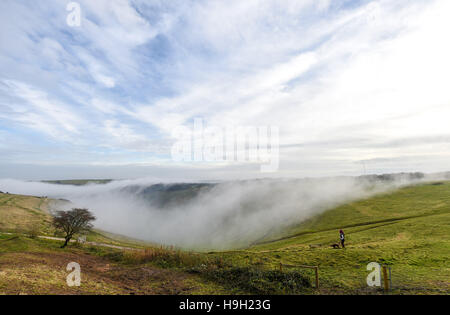 Brighton, Sussex, UK. 23 Nov, 2016. Un chien walker jouit de la brume et le brouillard cascadant des collines de démons digue le long de la South Downs au nord de Brighton ce matin, après ces derniers jours de t temps orageux dans tout le Royaume-Uni Crédit : Simon Dack/Alamy Live News Banque D'Images