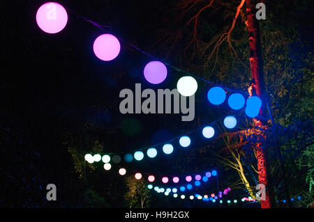 Londres, Royaume-Uni. 22 Nov, 2016. Illuminations circulaire accrocher entre des arbres dans le cadre de Noël à Kew, Londres. UK. Plus de 60 000 s'allument les arbres, plantes et jardins. Le sentier est plus qu'un mille de long et comprend des œuvres des deux artistes britanniques et internationaux et les concepteurs. Le spectacle s'ouvre et se ferme le 23 novembre 2016 2e janvier 2017. Credit : Tricia de Courcy Ling/Alamy Live News Banque D'Images