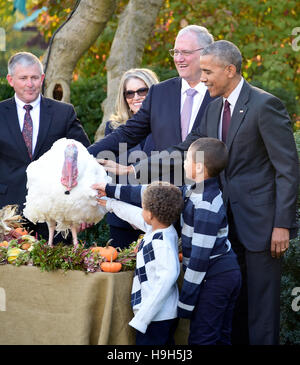 Washington DC, USA. 23 novembre, 2016. Le président des États-Unis, Barack Obama, de gauche, rejoint par neveux Austin Robinson et Aaron Robinson animaux domestiques Le National 2016 Dinde de Thanksgiving, Tater, lors d'une cérémonie dans la roseraie de la Maison Blanche à Washington, DC. C'est le 69e anniversaire de cette tradition a commencé en 1947 par le Président Harry S. Truman. Credit : MediaPunch Inc/Alamy Live News Banque D'Images