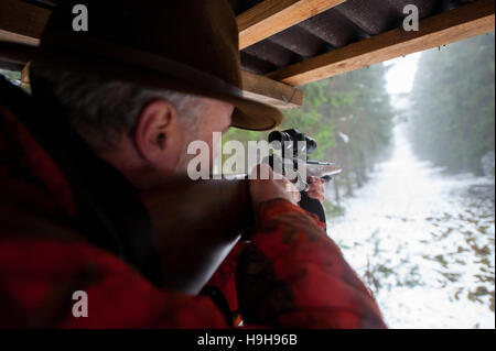 Goehrde, Allemagne. 15 Nov, 2016. ILLUSTRATION - un chasseur dans un pied de l'arbre dans la forêt lors d'une chasse d'entraînement près de Goehrde, Allemagne, 15 novembre 2016. Photo : Philipp Schulze/dpa/Alamy Live News Banque D'Images