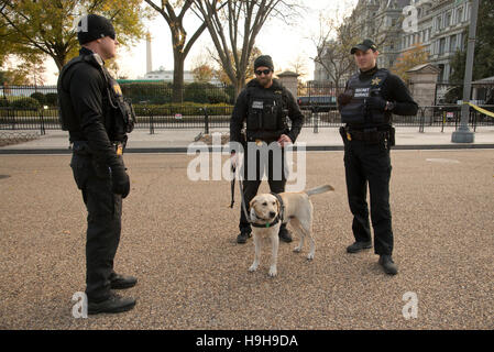 Washington DC, USA. 24 novembre, 2016. Les membres du Service secret en uniforme montent la garde près de l'entrée ouest de la Maison Blanche. La division en uniforme des services secrets : K-9 corps. Patsy Lynch/Alamy Live News Banque D'Images