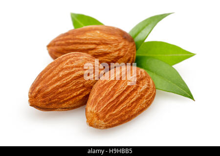 L'écrou d'Amandes isolé sur fond blanc Banque D'Images