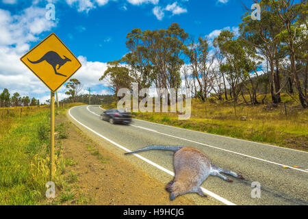 Australian Kangaroo Crossing Banque D'Images