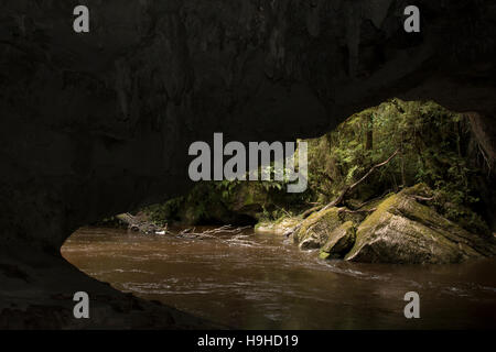 Les eaux de couleur tanin sculpté le passage de la porte de la Moria nommé d'après Tolkien Le Seigneur des anneaux dans les calcaires de l'Oparara Valley. Banque D'Images