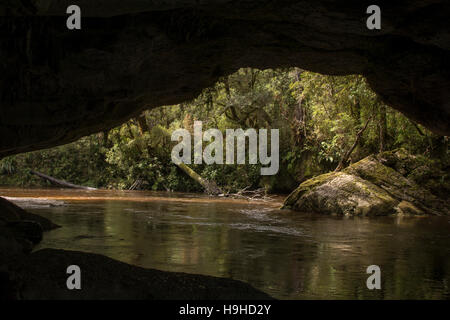 Les eaux de couleur tanin sculpté le passage de la porte de la Moria nommé d'après Tolkien Le Seigneur des anneaux dans les calcaires de l'Oparara Valley. Banque D'Images