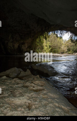 Les eaux de couleur tanin sculpté le passage de la porte de la Moria nommé d'après Tolkien Le Seigneur des anneaux dans les calcaires de l'Oparara Valley. Banque D'Images