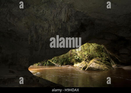 Les eaux de couleur tanin sculpté le passage de la porte de la Moria nommé d'après Tolkien Le Seigneur des anneaux dans les calcaires de l'Oparara Valley. Banque D'Images