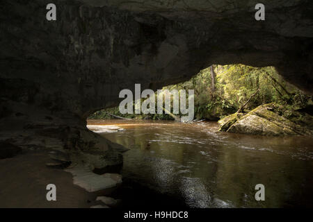 Les eaux de couleur tanin sculpté le passage de la porte de la Moria nommé d'après Tolkien Le Seigneur des anneaux dans les calcaires de l'Oparara Valley. Banque D'Images