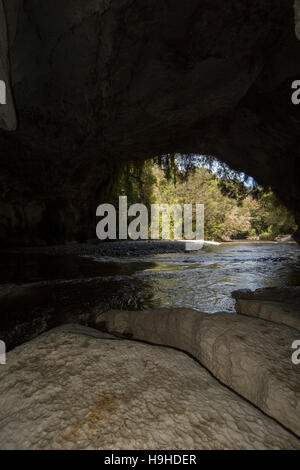 Les eaux de couleur tanin sculpté le passage de la porte de la Moria nommé d'après Tolkien Le Seigneur des anneaux dans les calcaires de l'Oparara Valley. Banque D'Images