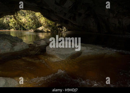 Les eaux de couleur tanin sculpté le passage de la porte de la Moria nommé d'après Tolkien Le Seigneur des anneaux dans les calcaires de l'Oparara Valley. Banque D'Images