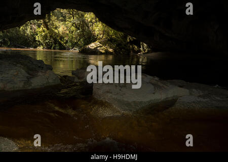 Les eaux de couleur tanin sculpté le passage de la porte de la Moria nommé d'après Tolkien Le Seigneur des anneaux dans les calcaires de l'Oparara Valley. Banque D'Images