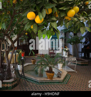 Vous trouverez une fontaine et un citronnier dans chaque patio du riad de Fès, au Maroc. Il n'y a pas de réception au Riad Arabesque, mais la cour est une oasis de calme. Les formalités d'enregistrement peuvent être accomplies sur un thé à la menthe marocain Banque D'Images