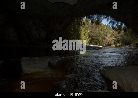 Les eaux de couleur tanin sculpté le passage de la porte de la Moria nommé d'après Tolkien Le Seigneur des anneaux dans les calcaires de l'Oparara Valley. Banque D'Images