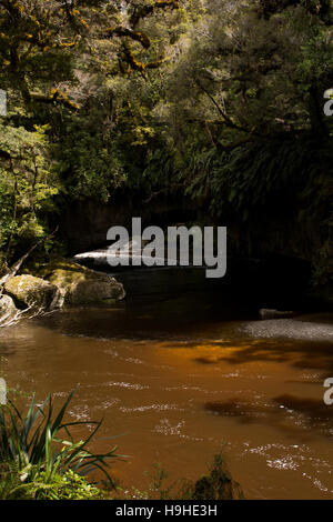 Les eaux de couleur tanin sculpté le passage de la porte de la Moria nommé d'après Tolkien Le Seigneur des anneaux dans les calcaires de l'Oparara Valley. Banque D'Images