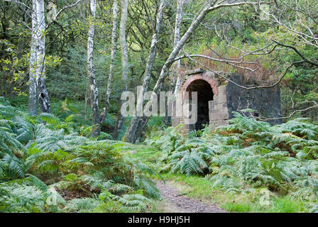 Le Derbyshire, UK - 24 Sept 2016 : un bunker en ruine dans les bois à gorge Padley dans le Peak District Banque D'Images