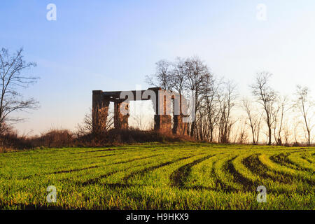 Maison de brique, abandonnés et champ de blé Banque D'Images