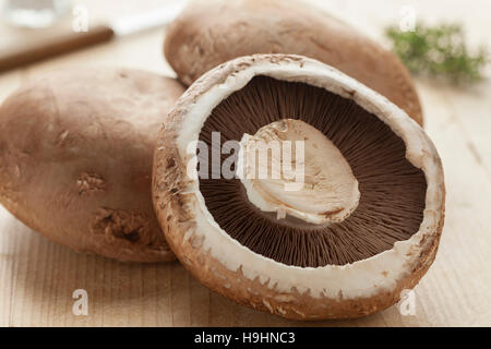 Champignons Portobello biologiques crus frais Banque D'Images