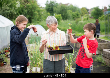 Bénévole à la Golden Hill Community Garden à Bristol montrer aux enfants quelques semis UK Banque D'Images