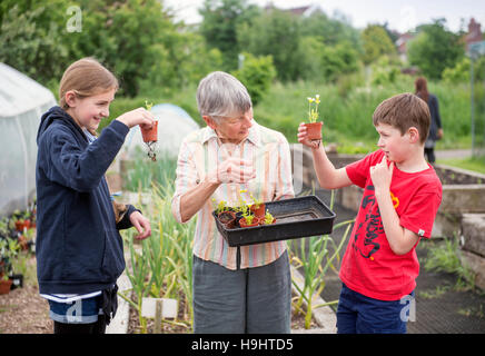 Bénévole à la Golden Hill Community Garden à Bristol montrer aux enfants quelques semis UK Banque D'Images