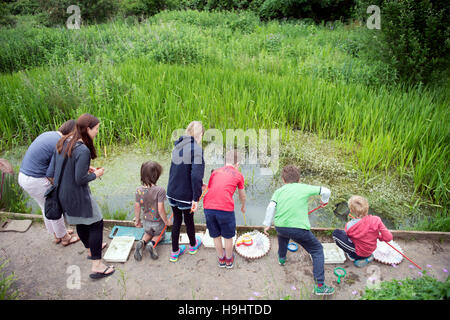 Le plan de l'étang des enfants Golden Hill Community Garden à Bristol, Royaume Uni Banque D'Images