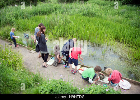 Le plan de l'étang des enfants Golden Hill Community Garden à Bristol, Royaume Uni Banque D'Images