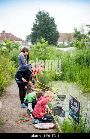 Le plan de l'étang des enfants Golden Hill Community Garden à Bristol, Royaume Uni Banque D'Images