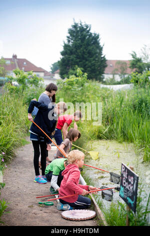 Le plan de l'étang des enfants Golden Hill Community Garden à Bristol, Royaume Uni Banque D'Images