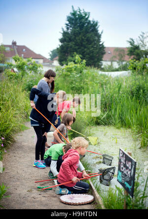 Le plan de l'étang des enfants Golden Hill Community Garden à Bristol, Royaume Uni Banque D'Images