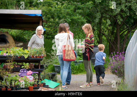 Le Golden Hill Community Garden à Bristol UK Banque D'Images