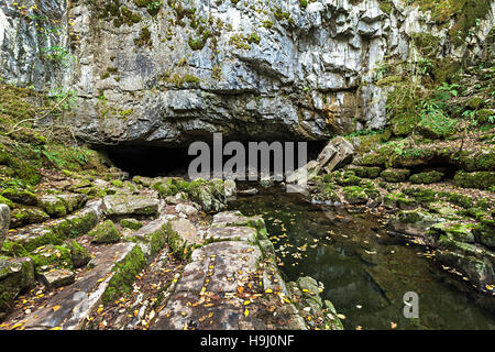 Yr Ogof Porth entrée, Powys, Wales, UK Banque D'Images