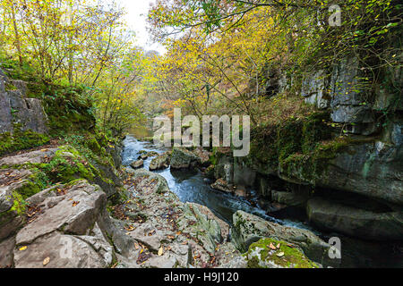 Porth, yr Ogof résurgence, Powys, Wales, UK Banque D'Images