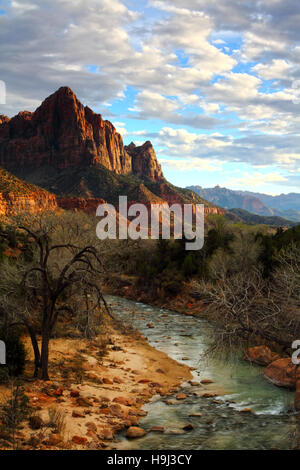 L'hiver à Zion National Park, Utah. La Vierge, dans le sud-ouest de l'Utah Zion Canyon. Banque D'Images