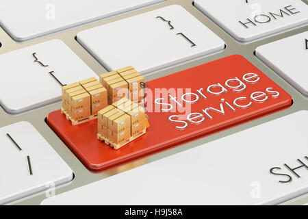 Concept de services de stockage sur le bouton clavier rouge, 3D Rendering Banque D'Images