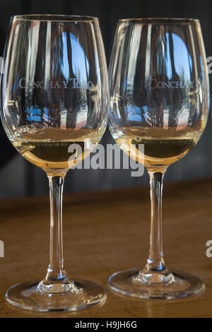 Deux verres à vin avec Concha y Toro Winery gravure Banque D'Images