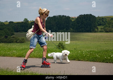 Jeune femme sur les lames de rouleau qui prend son chien une promenade, au-dessus du barrage Rutland Water, Leicestershire, Angleterre, Royaume-Uni. Banque D'Images