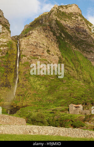 Paysage avec cascade de Faja Grande, l'île de Flores. Açores, Portugal. La verticale Banque D'Images