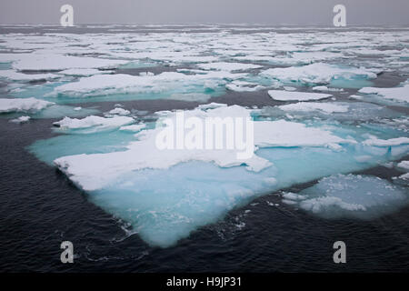 Blocs de glace / glace / dérive de glace à la dérive dans la mer du Groenland Banque D'Images