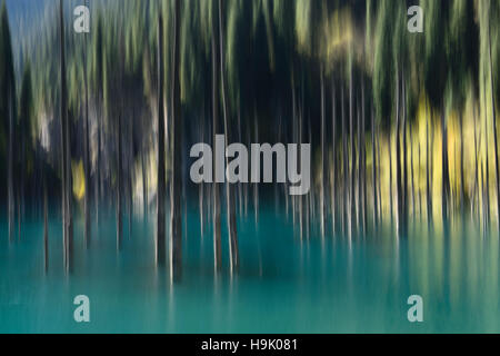 Les arbres flous de lac turquoise Kaindy Kazakhstan à l'automne Banque D'Images