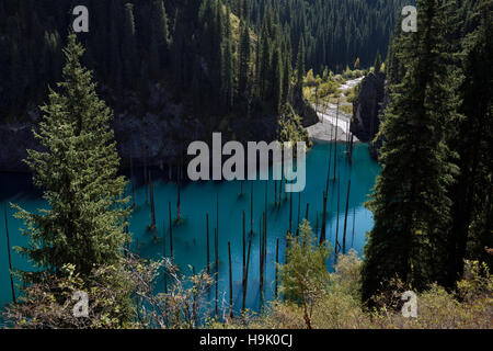 L'entrée de la rivière Kaindy Lac turquoise Kaindy avec épinettes mortes dans l'Alatau, montagnes du Kazakhstan Banque D'Images