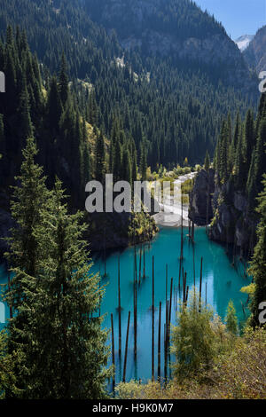 Kaindy rivière d'Alatau Kungey de montagnes à Lac Kaindy turquoise Kazakhstan Banque D'Images