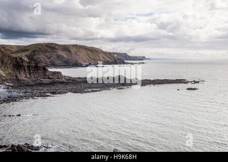 Recherche le long de la côte nord du Devon près de Hartland Quay Banque D'Images