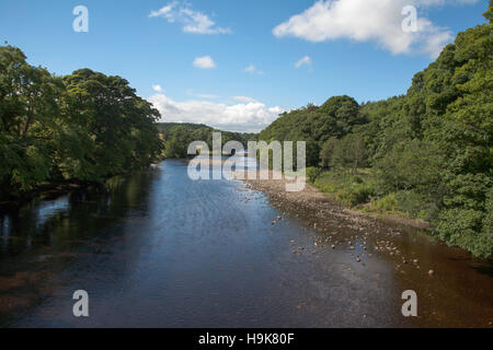 La Rivière Tees Barnard Castle County Durham Angleterre en été Banque D'Images