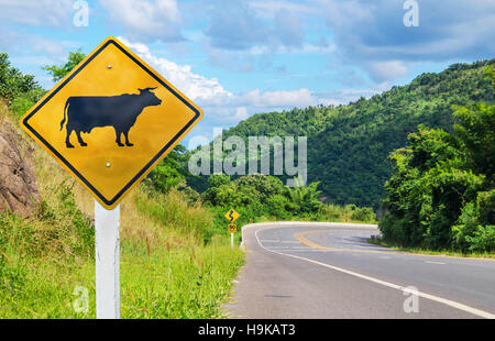 Attention aux panneaux d'avertissement de vaches sur la route Banque D'Images