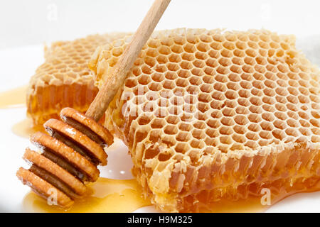 - Nid d'aliments sains et biologiques. Honeycomb close up on white background Banque D'Images