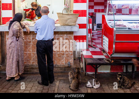 La population locale et les chats attendent devant une boutique de bouchers dans la médina, Fès el Bali, FES, Maroc Banque D'Images