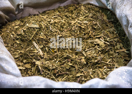 Sud-américaine traditionnelle yerba mate tea. Selective focus Banque D'Images