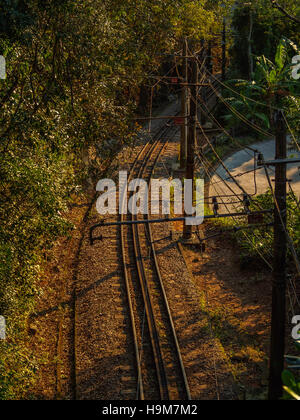 Brésil, Rio de Janeiro, vue sur les rails de Corcovado. Banque D'Images