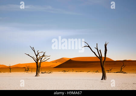 Deadvlei Dunes au lever du soleil, la Namibie Banque D'Images